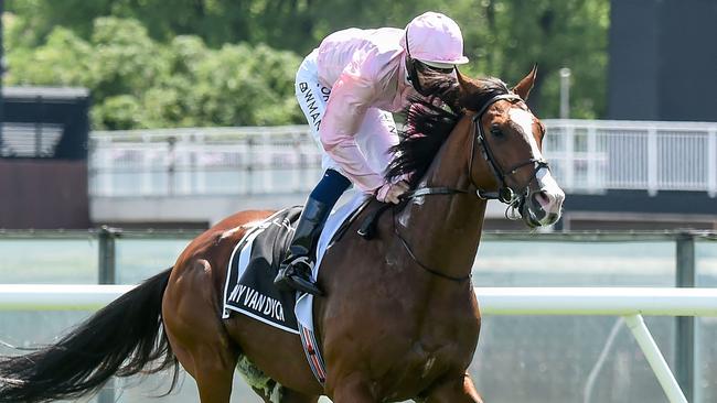 English Derby winner Anthony Van Dyck broke down in last year’s Melbourne Cup. Picture: AFP