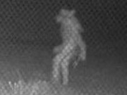 Mystery ‘alien’ spotted lurking at zoo