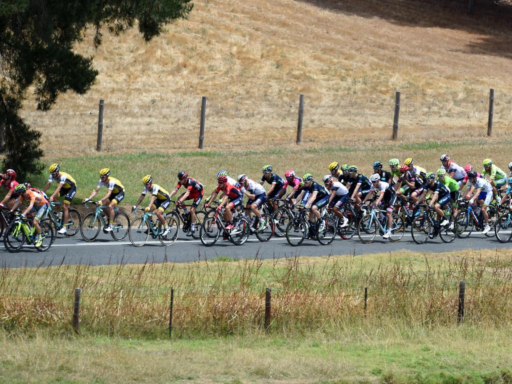 Riders roll through the countryside during the Tour Down Under’s third stage. Picture: Dan Peled