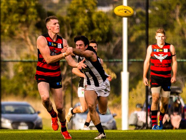 TSL – Lauderdale V Glenorchy – Sam Siggins of Lauderdale. Picture: LINDA HIGGINSON