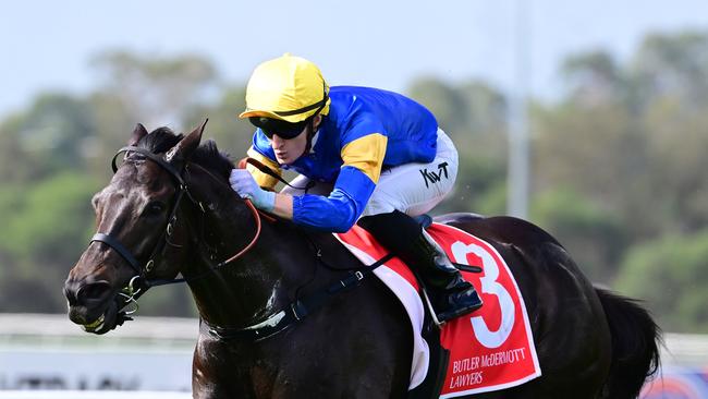 Punch Lane is coming off a Listed win in Queensland. Picture: Grant Peters / Trackside Photography