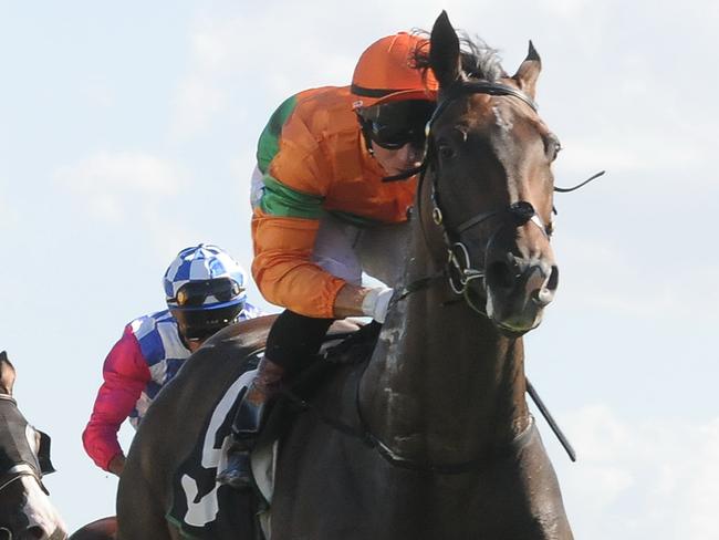 Katy's Son wins impressively first up at Ipswich. Picture: Grant Peters, Trackside Photography