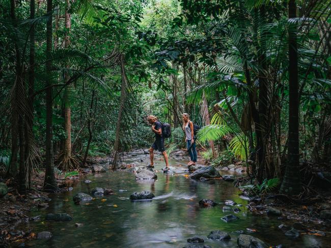 Watch climate change destroy this rainforest in 24 hours