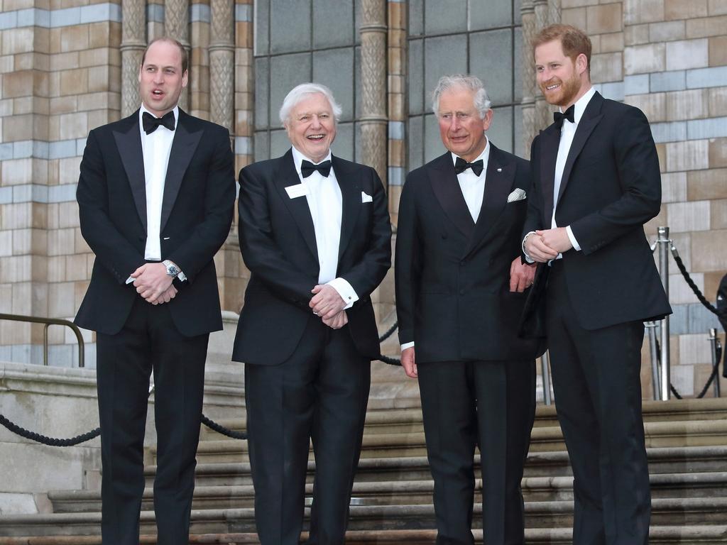 Harry, Charles and William with Sir David Attenborough when they still talked. Picture: Keith Mayhew/SOPA Images/LightRocket via Getty Images