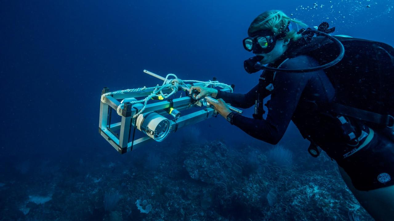 Dr Gemma Galbraith has been recognised for her work with marine robotics to further knowledge of Australia’s deep coral reefs. Picture: Supplied.