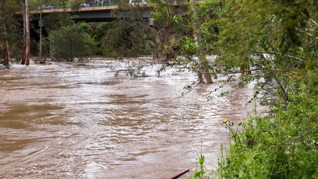 A man is missing near the Yarra River in Warrandyte. Picture: Ian Currie