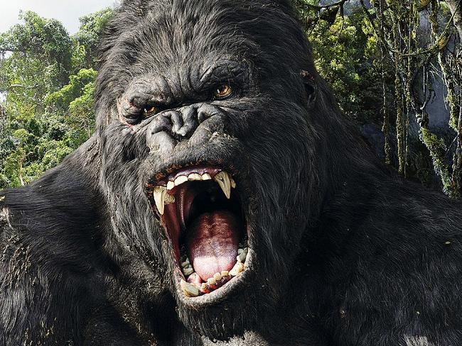 time out movie king kong Picture: SUPPLIED