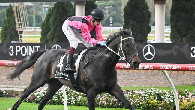 In-form galloper Elouyou is almost certain be scratched from his assignment at Saturday’s Caulfield meeting. Picture: Racing Photos via Getty Images