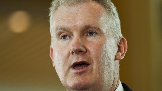 Arts Minister Tony Burke said the funding would get the institutions ‘back to where they should be’. Picture: NCA NewsWire / Martin Ollman