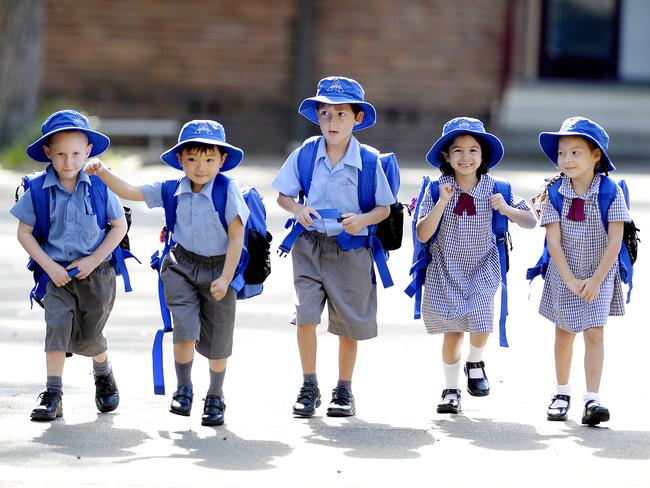 Enrolments set a record at Asquith Public School | Daily Telegraph