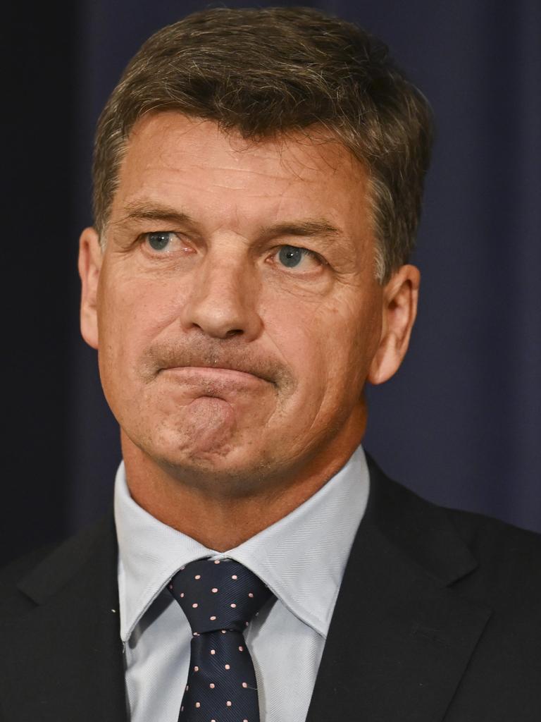 Opposition Treasury spokesman Angus Taylor. Picture: Martin Ollman