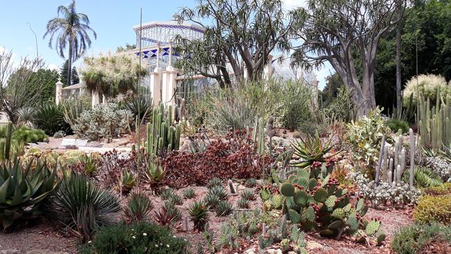 The Palm House at the Adelaide Botanic Garden. The garden’s attendance has dropped significantly. Picture: Robyn Douglass