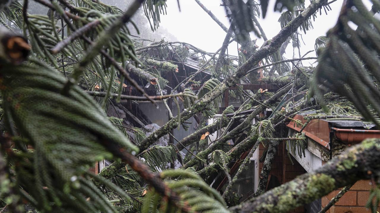 Motel Glenworth, the house next door on Margaret St and a car were damaged when a large tree was brought down in the aftermath of ex-tropical cyclone Alfred, Monday, March 10, 2025. Picture: Kevin Farmer