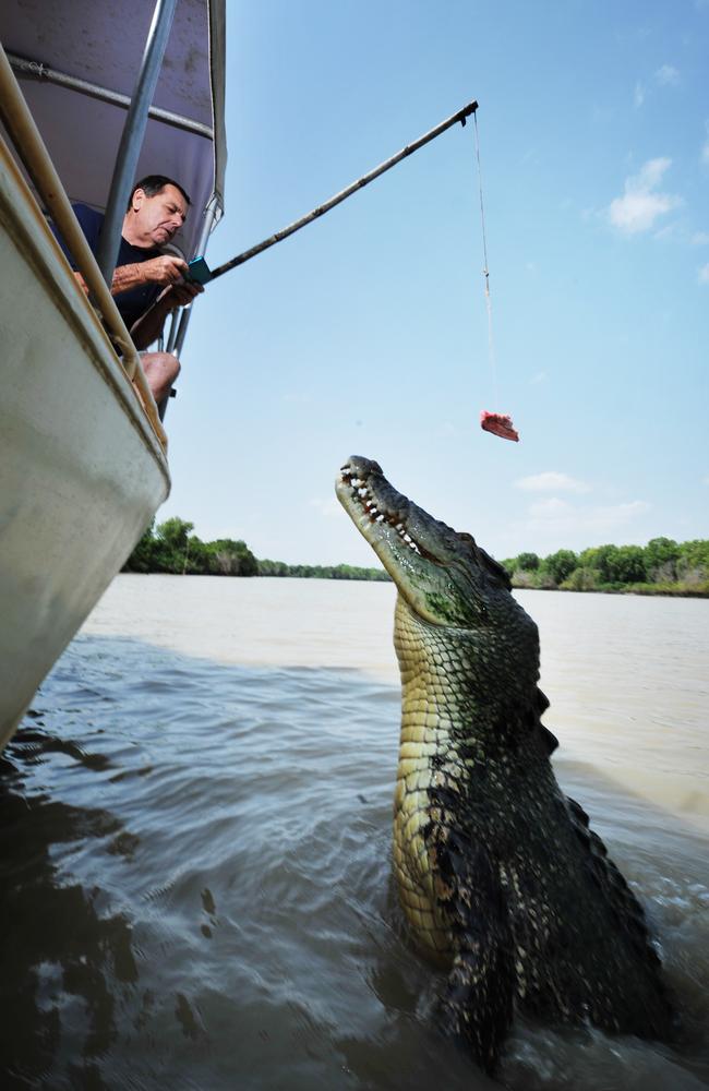 Jumping Crocodile Cruises operates tours from its smaller Pathfinder boat and from its two-storey Adelaide River Queen.