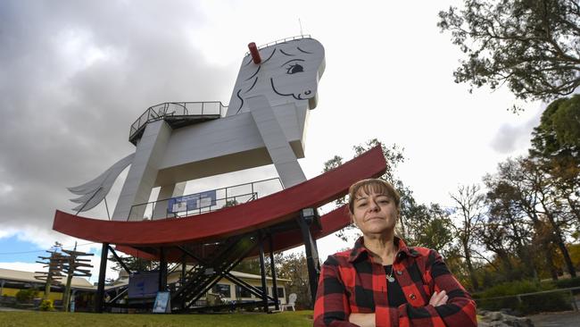 Mell Penno, co-owner of the Big Rocking Horse in Gumeracha. Picture: Roy VanDerVegt