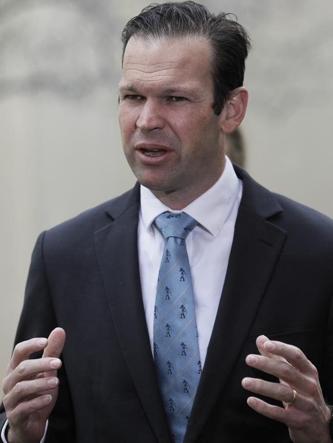 Nationals Senator Matt Canavan moved a spill motion against the deputy prime minister. Picture: Sean Davey.