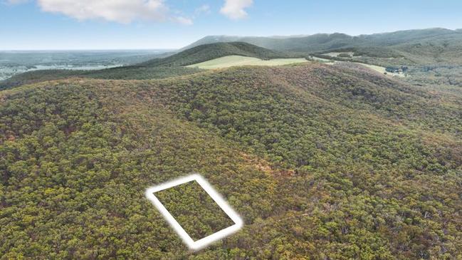 Dense bushland in Riddells Creek is for sale.