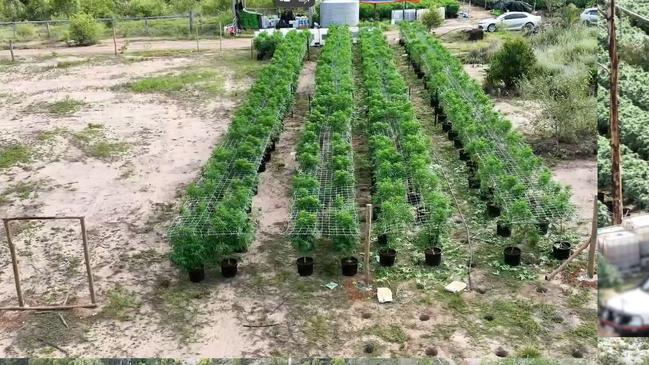 Twenty-eight people have been charged by the State Drug Squad after three multimillion-dollar cannabis farms were uncovered following investigations under Operation Whiskey Alon in the North Coast and Central Regions.