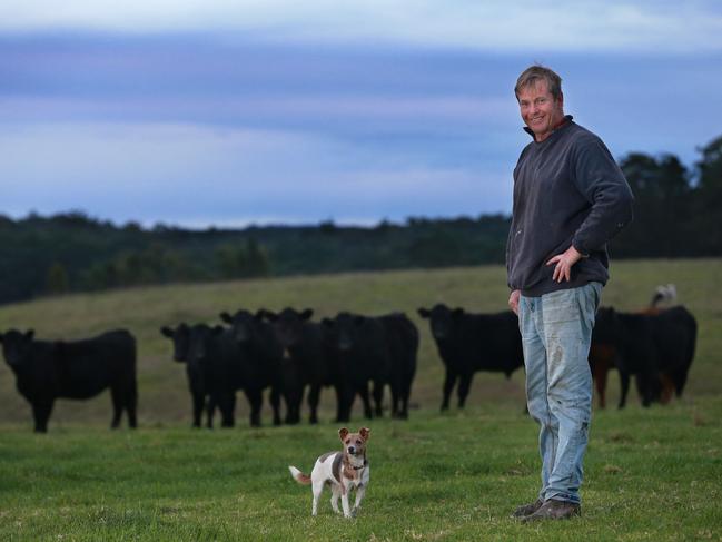 Focus: Chris Nixon, Orbost beef and dairy farmerPicture: ANDY ROGERS