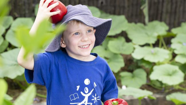 Dexter Eager loves the garden at the Everton Park Child Care and Development. Picture: Renae Droop