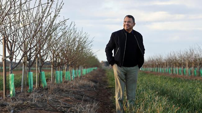 Olam International founder Sunny Varghese in the company’s almond orchard near Darlington Point in southern NSW. Picture: Aaron Francis