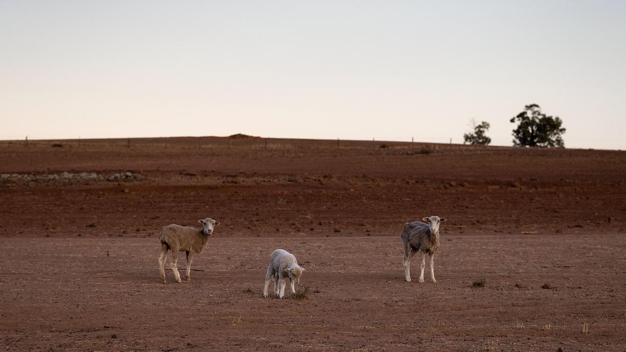 Australia is heading into a long, dry summer. Picture: Brook Mitchell/Getty Images