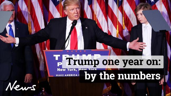 Trump one year on: by the numbers