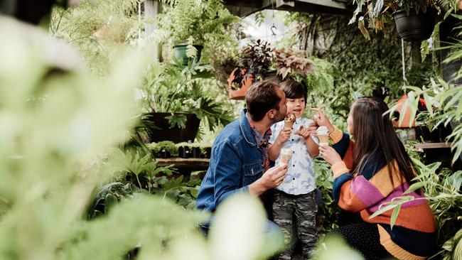 One of the Family Mystery Picnics. Picture: Supplied