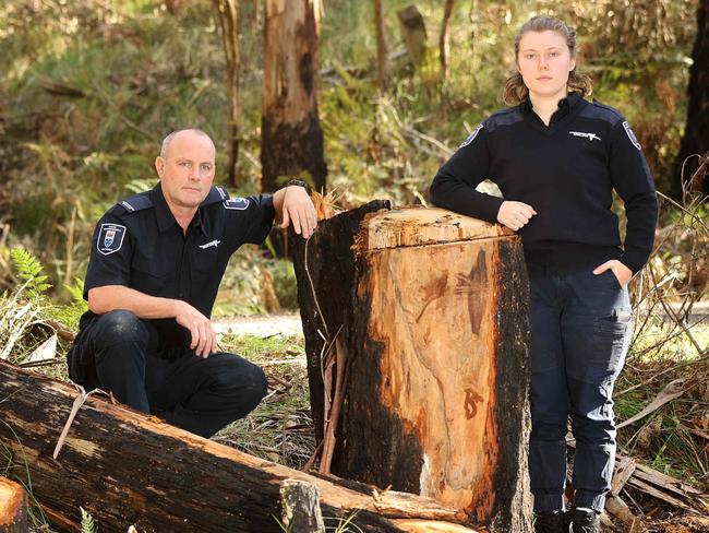 Senior Forrest and Wildlife Officer Barwon South Scott Nicholson and Forrest and Wildlife officer Sabrina Gray-Viggiano with illegally felled trees in the Eastern Otway Forrest Park. Picture: Alison Wynd