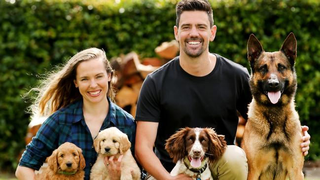 SMART Daily. Jen and Ryan Tate. Puppy on the left unnamed, puppy on the right Dolly, Spaniel Dash, and Rafa our Belgian Malinois. Picture: Nathan Edwards