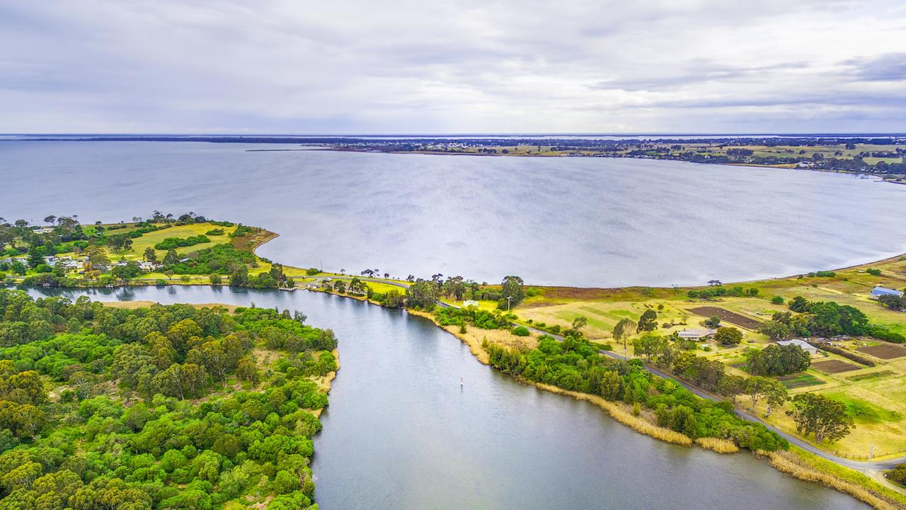 A bull shark was spotted in the Mitchell River near the Linds Bridge in Bairnsdale in Victoria’s Gippsland region. Picture: istock