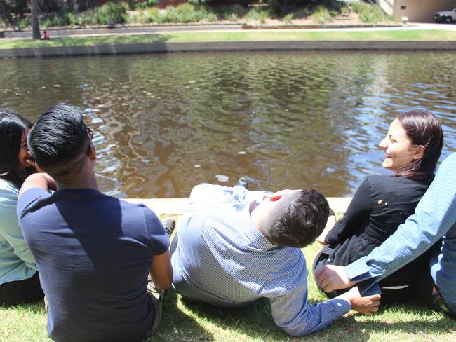 A festival based around the Parramatta River was suggested in the report.