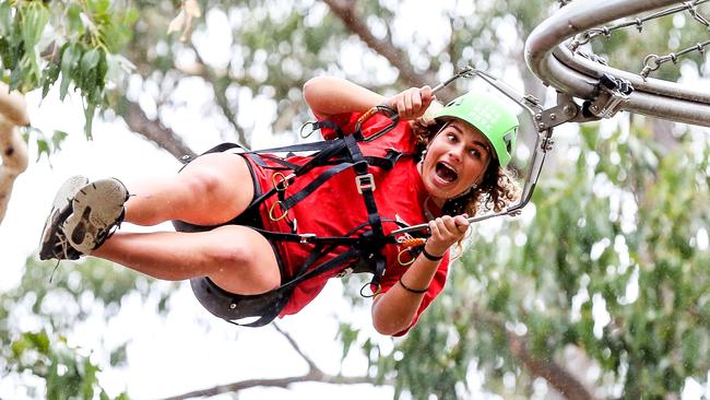 outdoor adventure park to be completely powered by nature, Live Wire Park.The park has been thoughtfully designed to have a minimal impact on the environment whilst delivering exhilarating outdoor adventure from the unrivalled treetops of the Otway Ranges. The power is solar, whilst all water on site is collected, used, and treated to reduce waste and optimize the use of natural resources.The park features AustraliaÕs most extreme zip line, the 525-metre-long Shockwave Zip Coaster, while other circuits will have thrill seekers gliding, zipping and climbing through a range of obstacles high In the treetops.We would love to set up a photo with a couple of kids zipping through the trees and enjoying some good-old outdoor adventure during the holidays.The park is located in the heart of VictoriaÕs Great Ocean Road region in Lorne. Ruby Jolley. Picture- Nicole Cleary