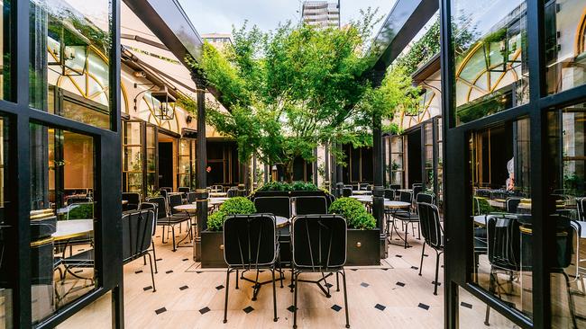 The rooftop terrace is set around a 50-year-old maple tree. Picture: Liana Hardy