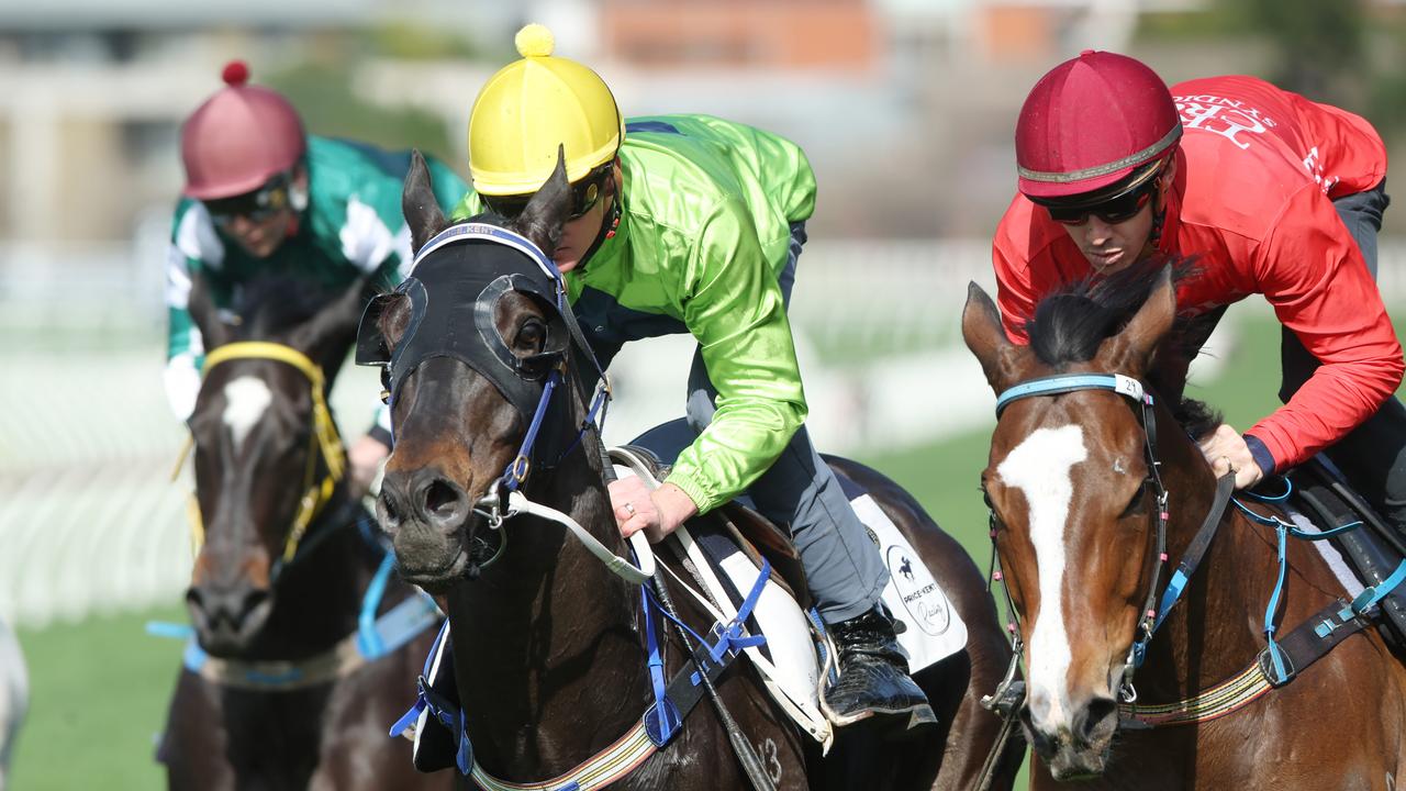 Ray and Duff’s Randwick tips, analysis for Saturday: $6 best bet