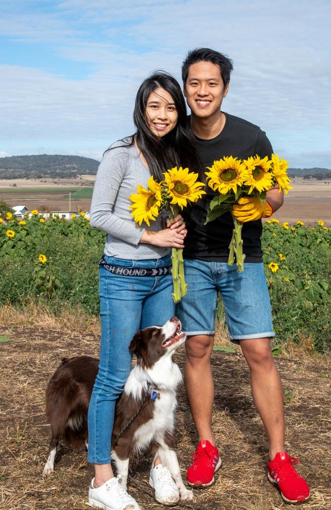 Mel and Leo Tang, with their dog, Hazel enjoy the open day at Warraba Sunflowers, Cambooya. Saturday June 29th, 2024