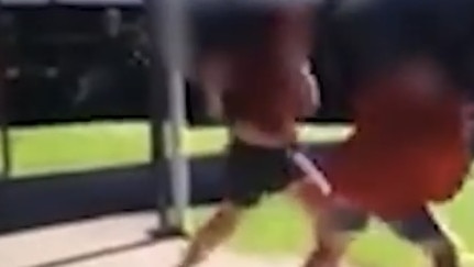 Tin Can Bay State School physical fight escalates between students on school grounds.