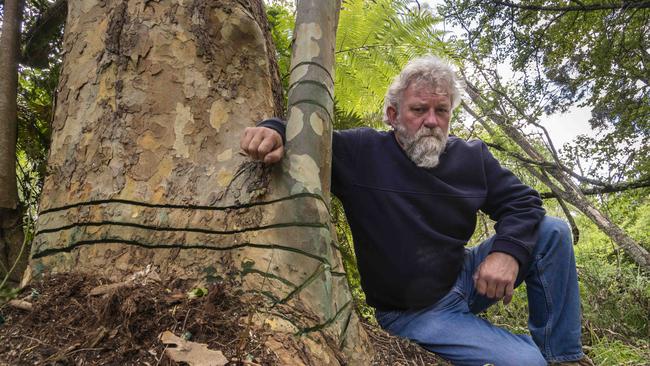 Richard Hartely with one of the trees poisoned by Melbourne Water . Picture: Valeriu Campan