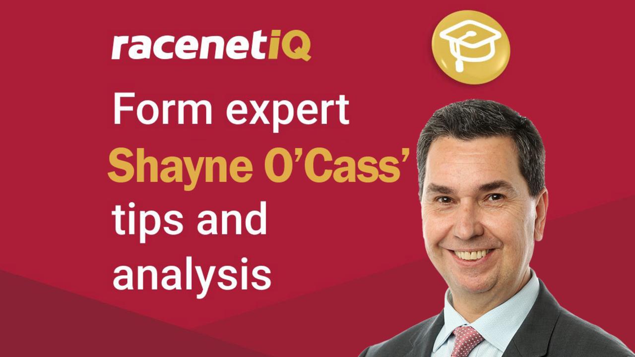 Shayne O’Cass’s race-by-race tips, analysis for Gosford on Saturday