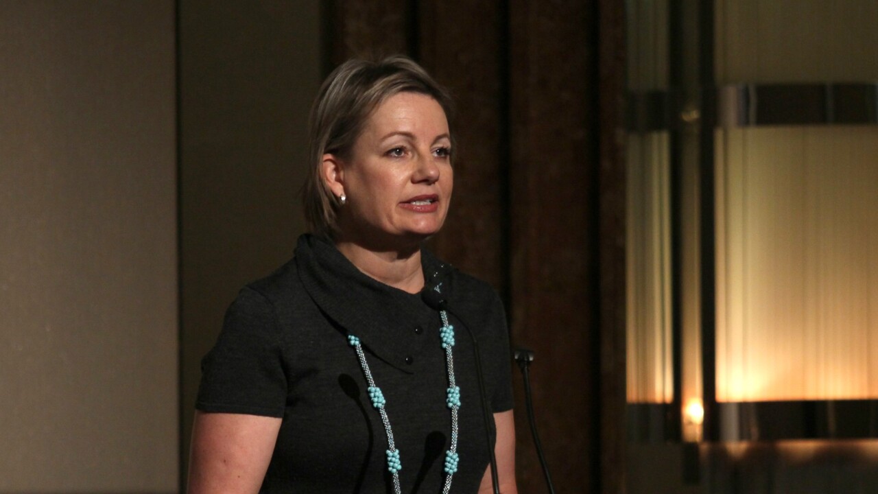 'Sober reflections to be made': Sussan Ley 'can't wait' to reconnect with communities