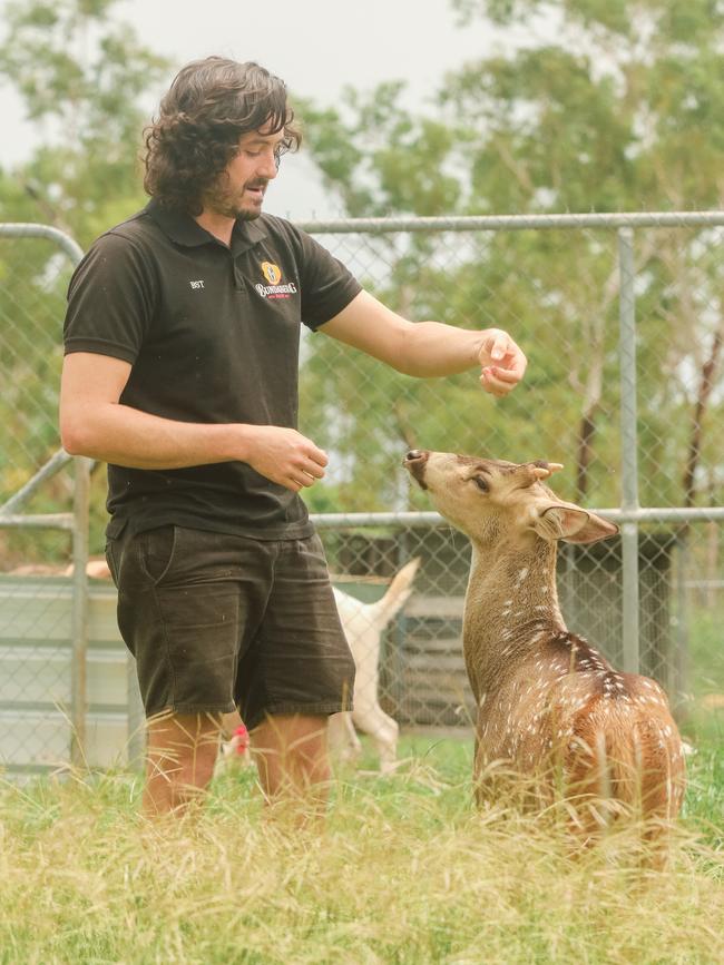 Berry Springs Tavern duty manager and animal whisperer Dan Woodall wants Elliot to find love. Picture: Glenn Campbell