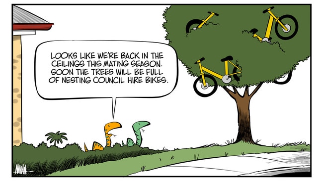 Snakes and bikes are returning to our streets.