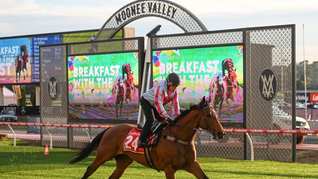 Former champion jockey Brent Thomson rides trackwork aboard Garza Blanca at Moonee Valley Racecourse. Picture: Getty Images