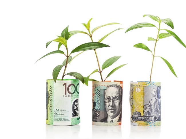 EMBARGO FOR THE GREEN LIST 30 NOV 2023. FEE MAY APPLY.Concept of green plant grow on Australian Dollar currency note. Istock