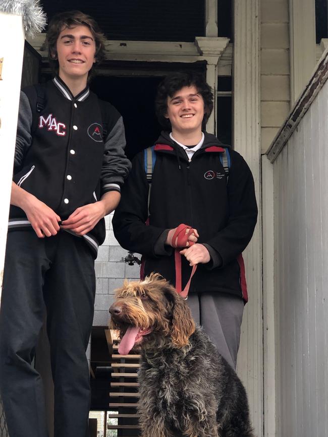 Sweeny Beckinsale and Raph Butler, both 17, who helped rescue the dog from the rooftop on Bellair St, Kensington. Picture: Anne Kierren