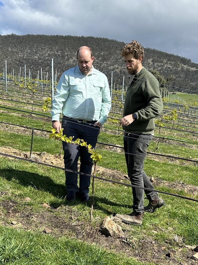 TasFarmers CEO Nathan Calman and Sisu Wines owner and winemaker Jake Sheedy. Picture: supplied.