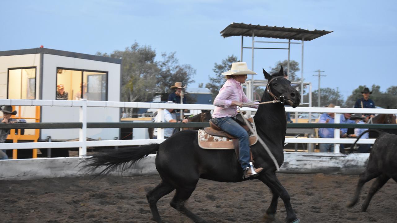 Friday night campdraft