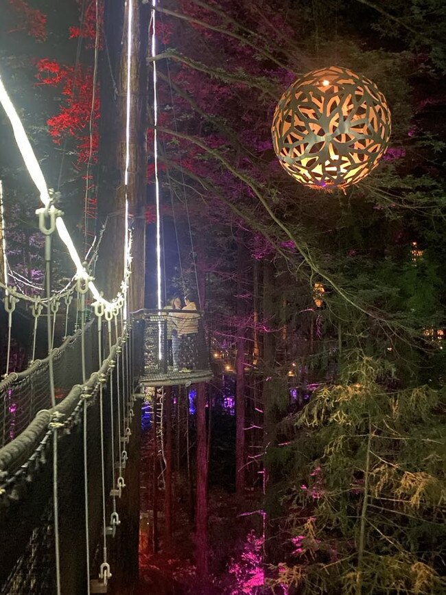 Impressive lanterns and lights illuminate the forest below. Picture: Supplied/Brielle Burns