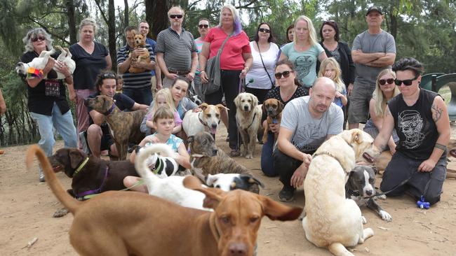 Canterbury residents and their dogs are unhappy with the dilapadated state of Close St Reserve. Picture: Tim Clapin