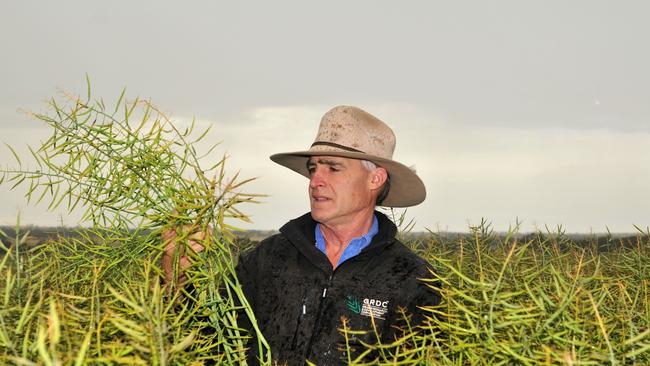 John in a canola crop on his property at Lawloit, in Victoria's Wimmera region. Picture: James Wagstaff